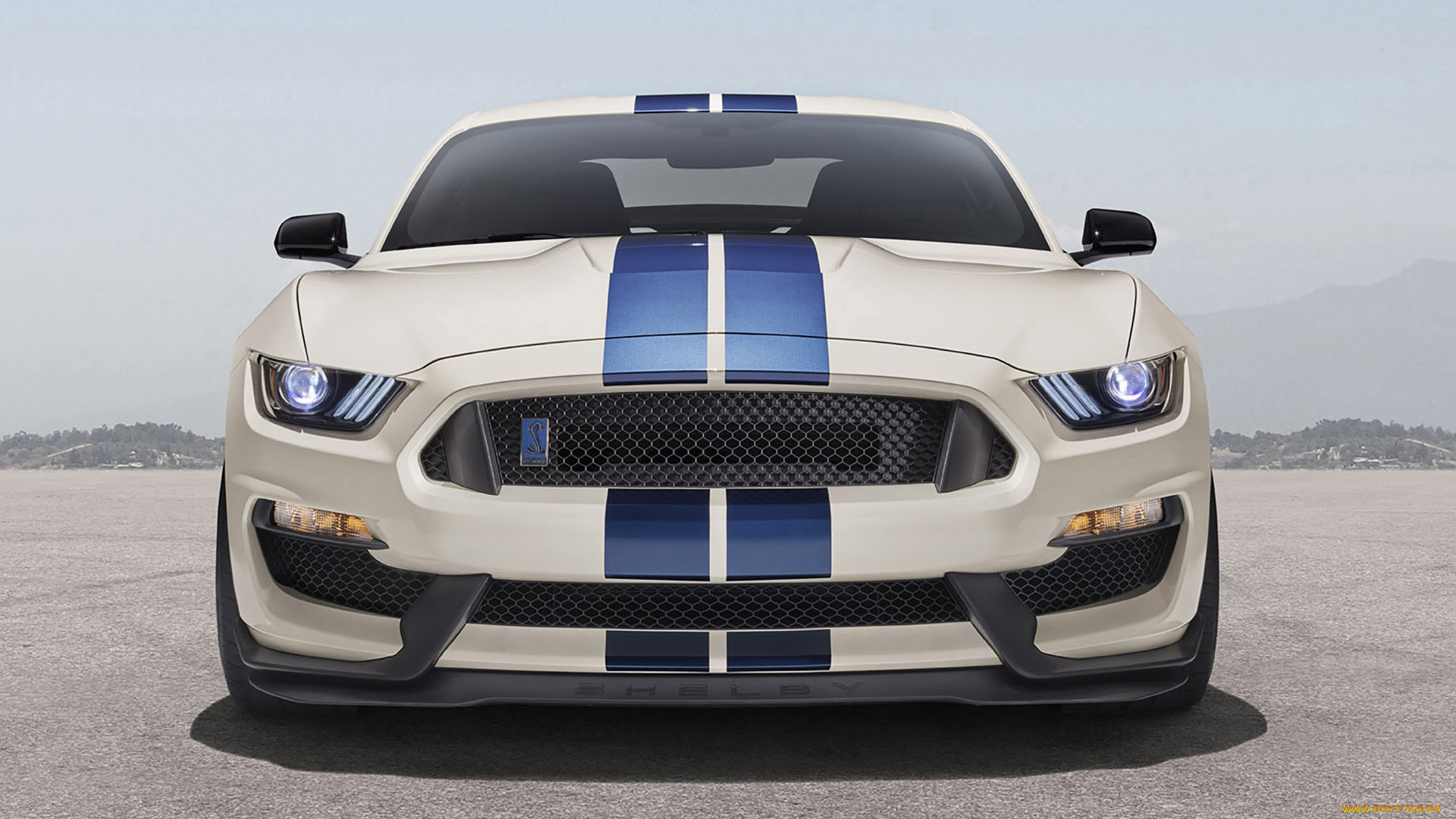 ford mustang 2020, , ford, mustang, gt, shelby, gt500, , , , , 